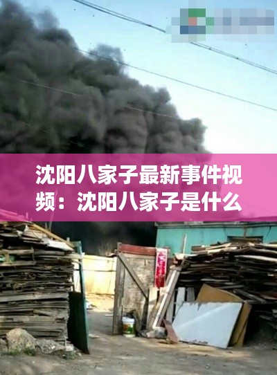 沈阳八家子最新事件视频：沈阳八家子是什么区 