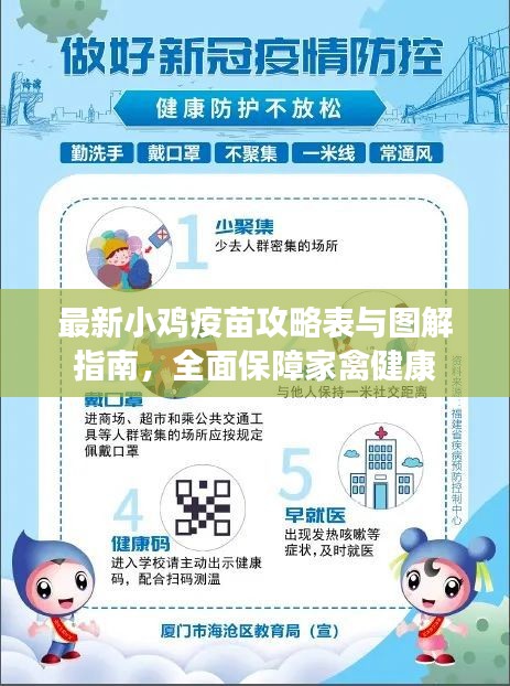最新小鸡疫苗攻略表与图解指南，全面保障家禽健康