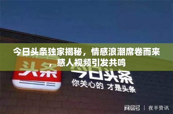 风流儒雅 第2页