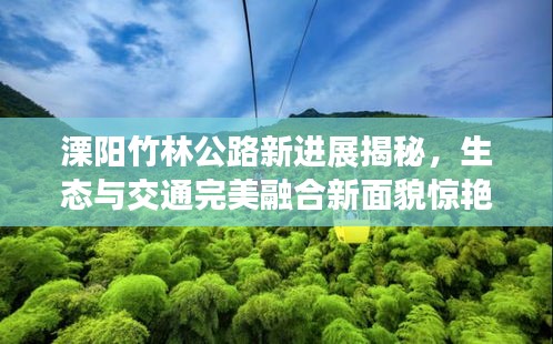 溧阳竹林公路新进展揭秘，生态与交通完美融合新面貌惊艳亮相！
