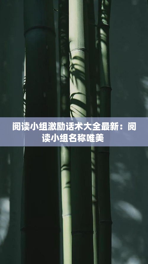 贵冠履轻头足 第2页