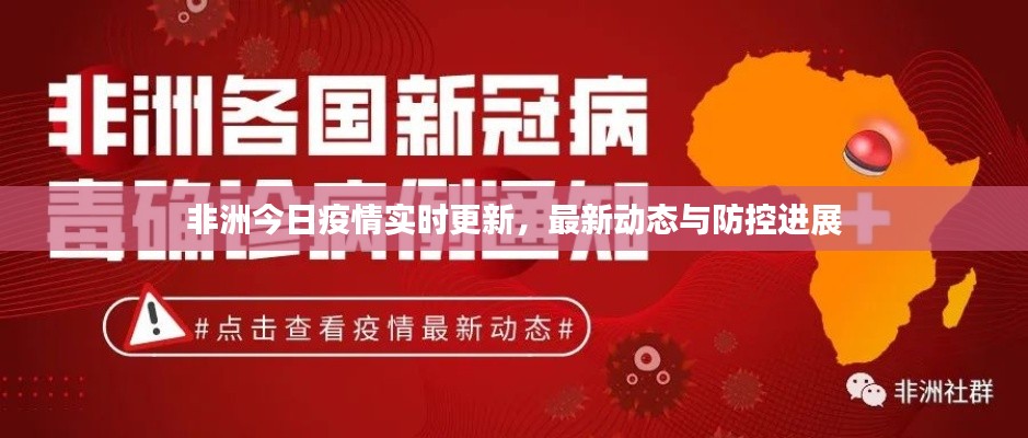 非洲今日疫情实时更新，最新动态与防控进展