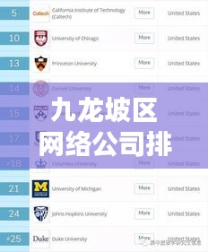 九龙坡区网络公司排名揭秘，行业概览一网打尽