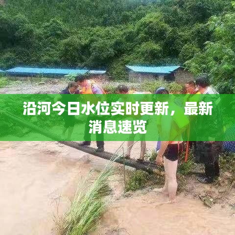 沿河今日水位实时更新，最新消息速览