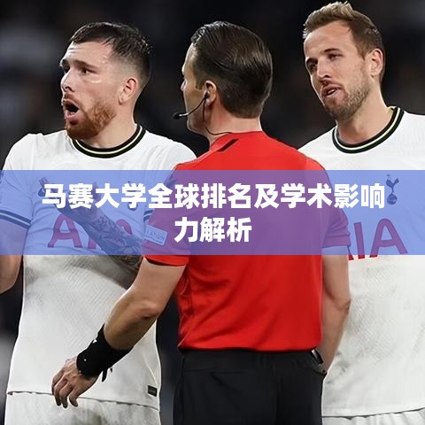 马赛大学全球排名及学术影响力解析