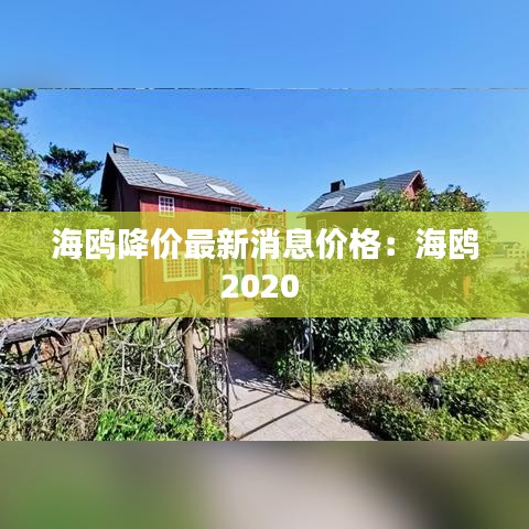 海鸥降价最新消息价格：海鸥2020 