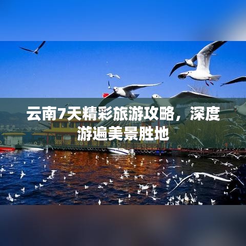 云南7天精彩旅游攻略，深度游遍美景胜地