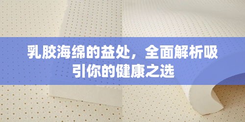 乳胶海绵的益处，全面解析吸引你的健康之选