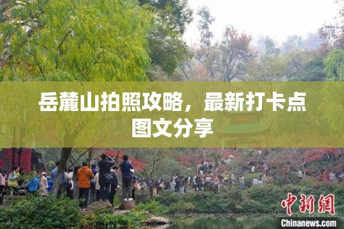 岳麓山拍照攻略，最新打卡点图文分享