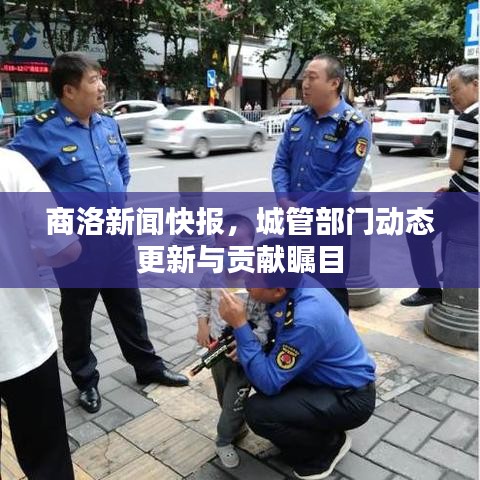 商洛新闻快报，城管部门动态更新与贡献瞩目