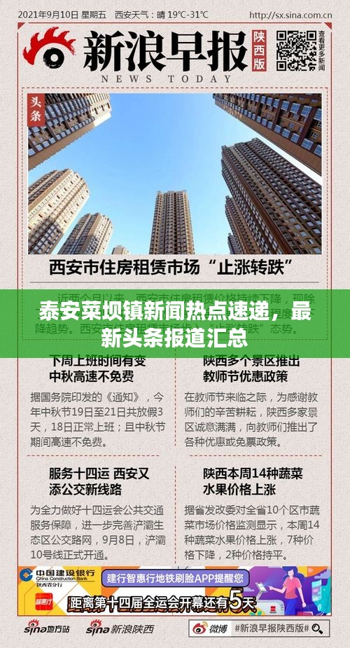 泰安菜坝镇新闻热点速递，最新头条报道汇总