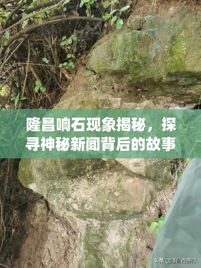 隆昌响石现象揭秘，探寻神秘新闻背后的故事