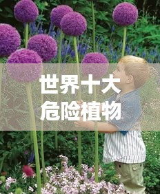 世界十大危险植物排名揭秘，你绝对想不到！