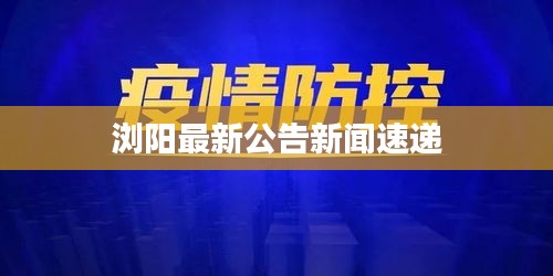 浏阳最新公告新闻速递