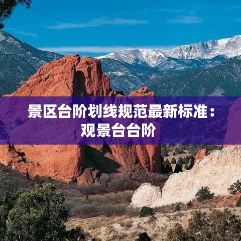 鸟穷则啄 第2页