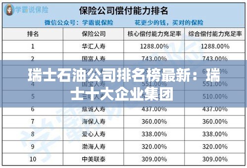 瑞士石油公司排名榜最新：瑞士十大企业集团 