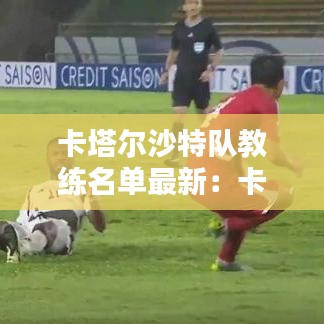 卡塔尔沙特队教练名单最新：卡塔尔和沙特的关系恶化有怎样的历史背景 