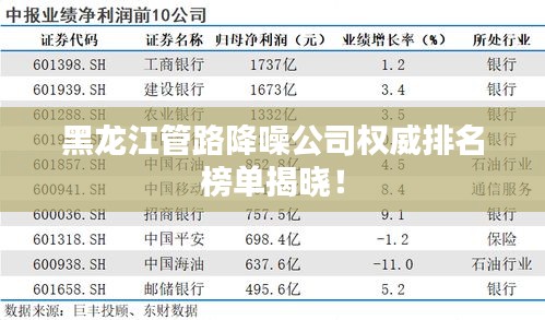 黑龙江管路降噪公司权威排名榜单揭晓！