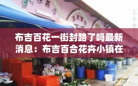 布吉百花一街封路了吗最新消息：布吉百合花卉小镇在哪里 