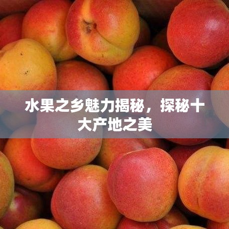水果之乡魅力揭秘，探秘十大产地之美