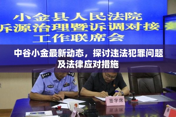 中谷小金最新动态，探讨违法犯罪问题及法律应对措施
