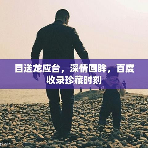 目送龙应台，深情回眸，百度收录珍藏时刻