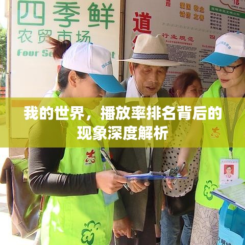 我的世界，播放率排名背后的现象深度解析