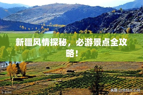 新疆风情探秘，必游景点全攻略！