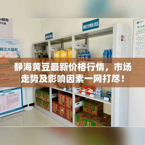 鸟吏鳖官 第3页