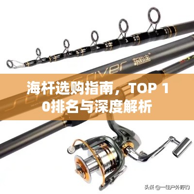 海杆选购指南，TOP 10排名与深度解析