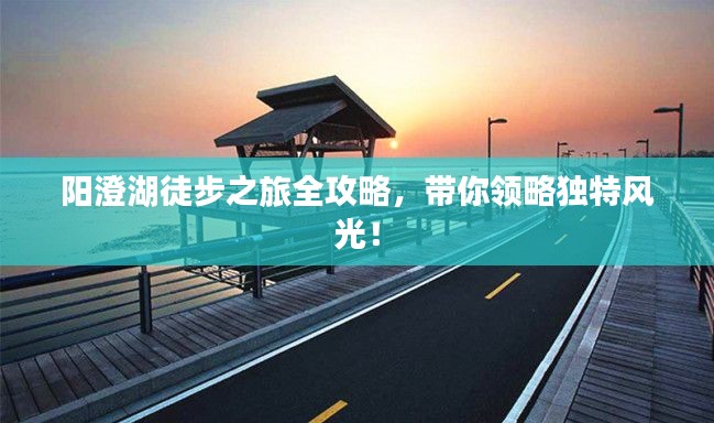 阳澄湖徒步之旅全攻略，带你领略独特风光！