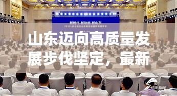 山东迈向高质量发展步伐坚定，最新实战揭晓