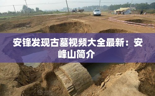 安锋发现古墓视频大全最新：安峰山简介 