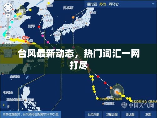 台风最新动态，热门词汇一网打尽