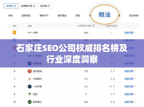 石家庄SEO公司权威排名榜及行业深度洞察