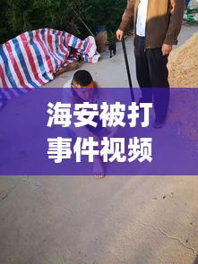 海安被打事件视频最新版：海安重大恶性案件 