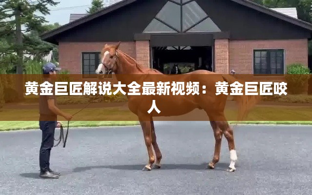 纲举目张 第2页
