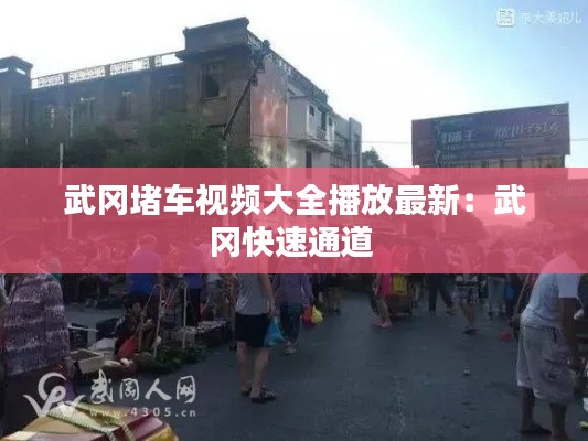 武冈堵车视频大全播放最新：武冈快速通道 