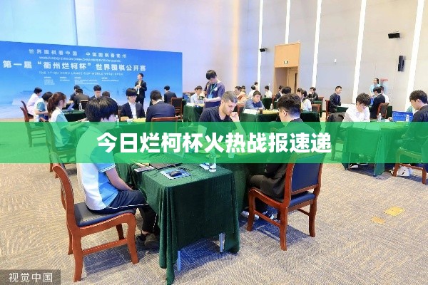 虎背熊腰 第2页