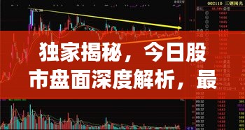独家揭秘，今日股市盘面深度解析，最新消息一网打尽！