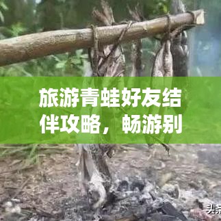 旅游青蛙好友结伴攻略，畅游别样旅行乐趣！