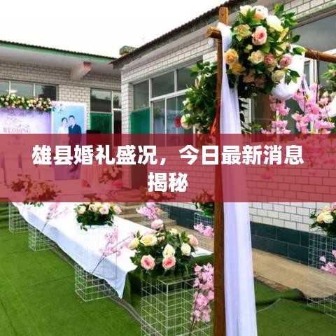 雄县婚礼盛况，今日最新消息揭秘