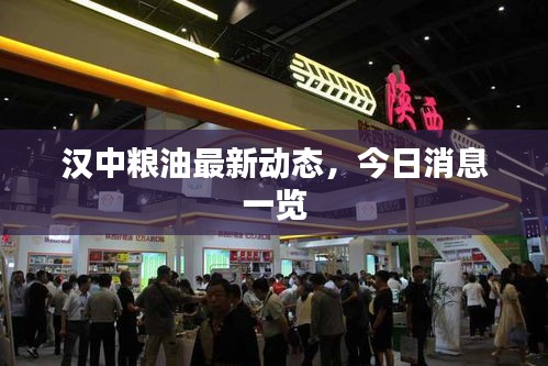 汉中粮油最新动态，今日消息一览