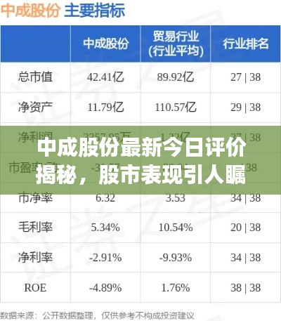 中成股份最新今日评价揭秘，股市表现引人瞩目