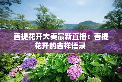 菩提花开大美最新直播：菩提花开的吉祥语录 
