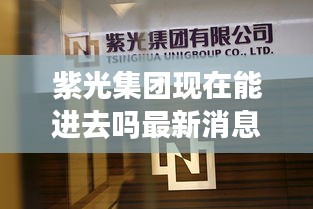 紫光集团现在能进去吗最新消息：紫光集团怎么样了 
