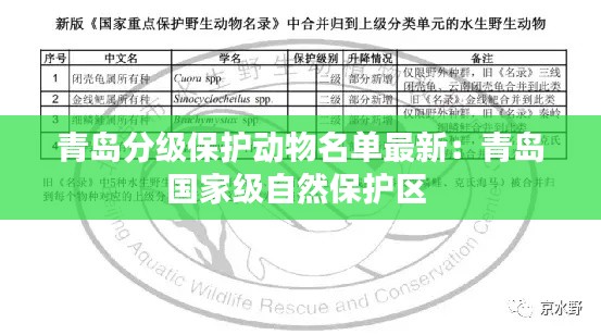青岛分级保护动物名单最新：青岛国家级自然保护区 