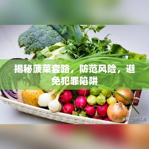 揭秘菠菜套路，防范风险，避免犯罪陷阱