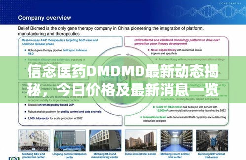 信念医药DMDMD最新动态揭秘，今日价格及最新消息一览