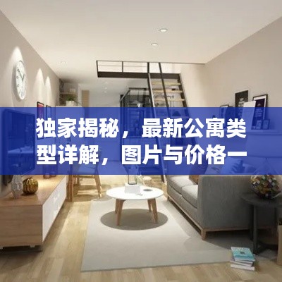独家揭秘，最新公寓类型详解，图片与价格一览无余